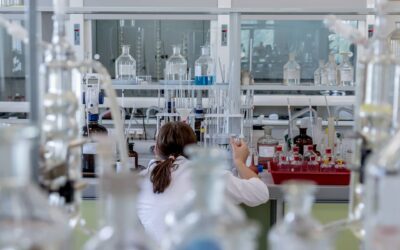 SEO for White Papers: How to Make Your White Paper SEO Friendly