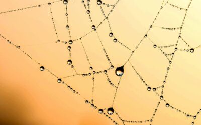 Backlink Strategies That Work for Life Science Companies